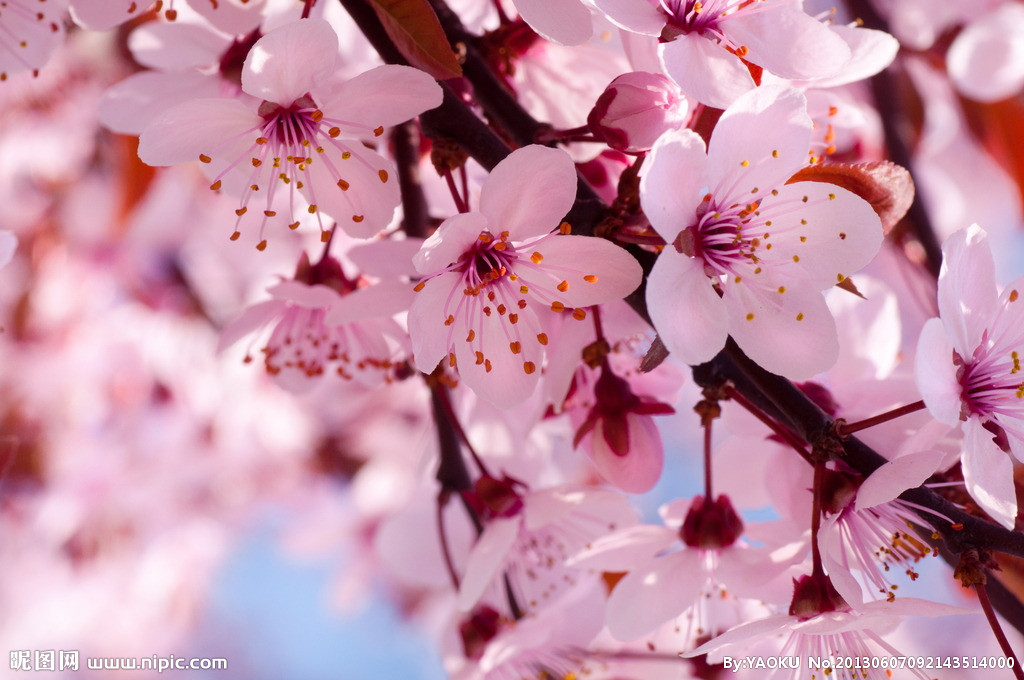 【丁香花開(kāi)】四月，在塵世里拾取幸福（散文）