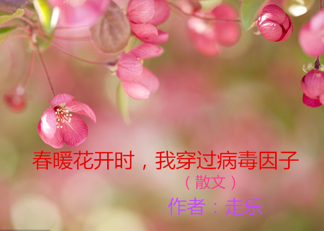 【八一】春暖花開時，我穿過病毒因子（散文）