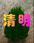 【曉荷】清明祭（古韻）