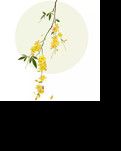 【山河● 秋】桂子花開(kāi)（散文）