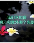 【柳岸·冀】歲末回首曾經(jīng)事（散文）