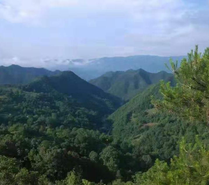 【家園】即將消失的村莊（散文）