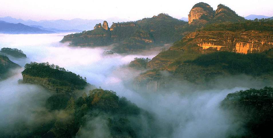 【鳳凰?舞】武夷山之旅——叩問山水，茶中情（散文）