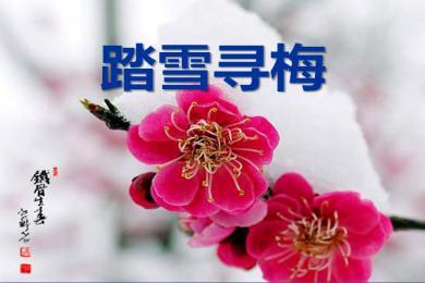 【軍警】落雪，有詩有襲（詩歌）