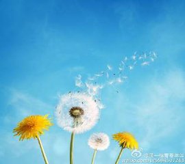 【短文】風(fēng)一樣的年華