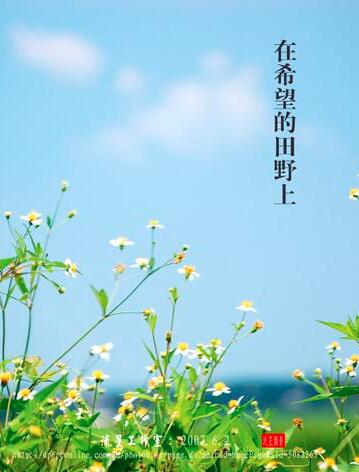 【書香?玉】在希望的田野上（散文）