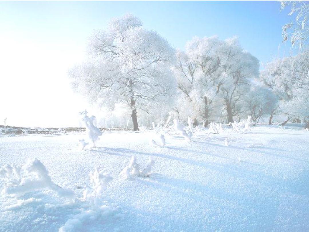 【丹楓】飄飛的雪花（詩歌）