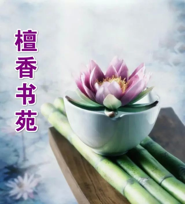 【檀香】薔薇花開（短篇小說）