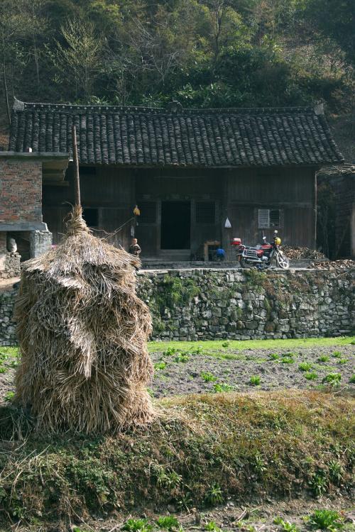 【酒家】往南，去外婆家（散文）