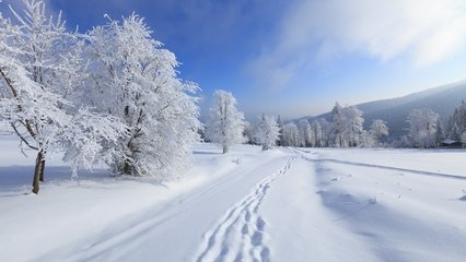 【西風(fēng)征文】雪性（冬遇散文）