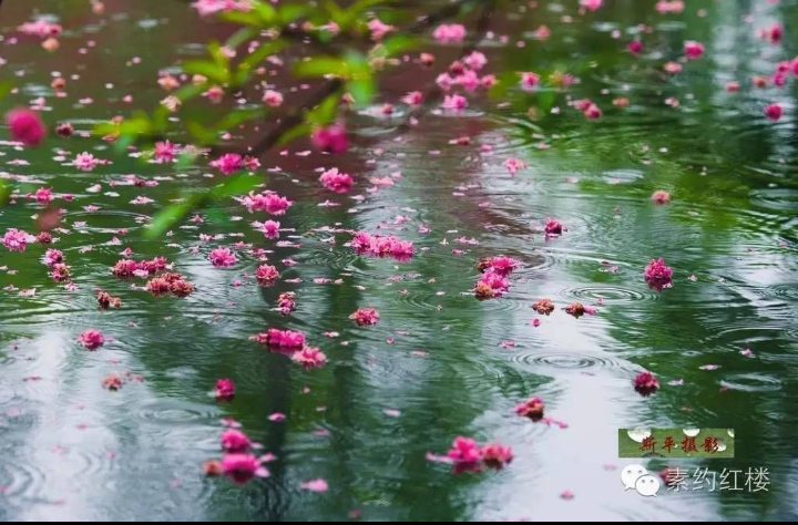 【八一】聽雨（散文·家園）